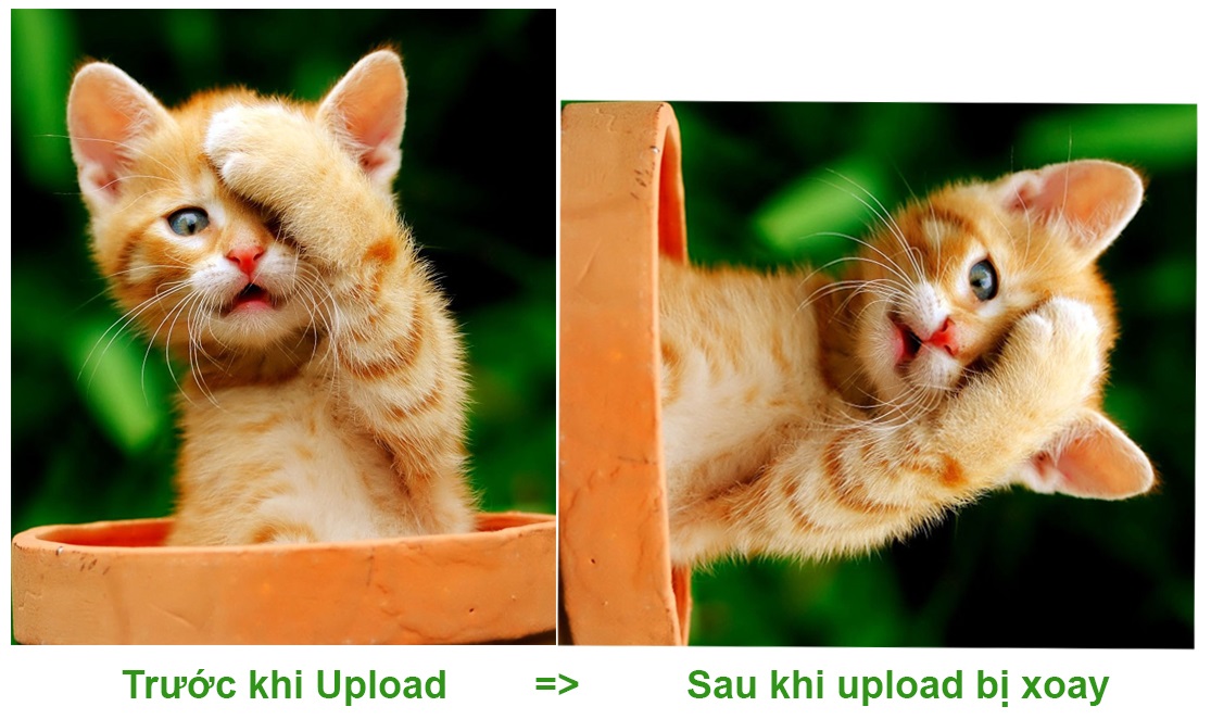 Hình ảnh bị xoay khi upload lên server được chụp bằng điện thoại